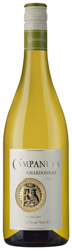 Campanula Chardonnay