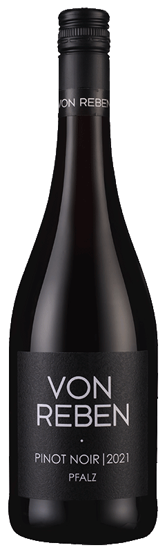 Von Reben Pinot Noir Pfalz 2021