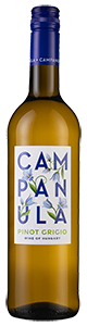 Campanula Pinot Grigio