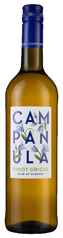 Campanula Pinot Grigio